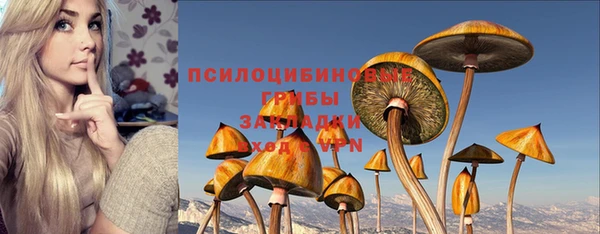 марихуана Снежногорск