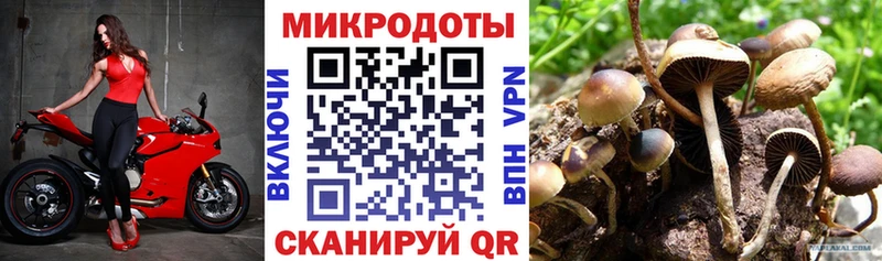 Галлюциногенные грибы MAGIC MUSHROOMS ОМГ ОМГ маркетплейс Егорьевск