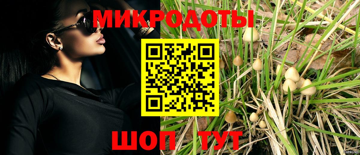 Псилоцибиновые грибы MAGIC MUSHROOMS  магазин    Егорьевск  Вход с VPN 