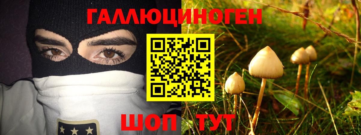 Галлюциногенные грибы Psilocybine cubensis Егорьевск